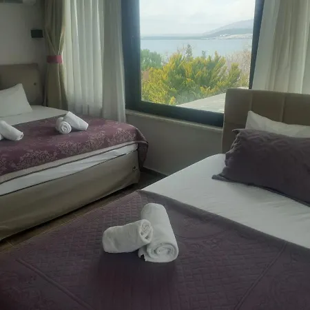 Taş 2*
