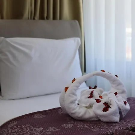 Tas Hotel 2*